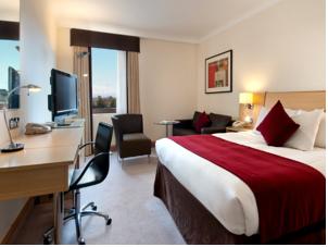 Hotel Photos