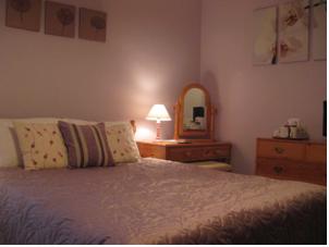 Hotel Photos