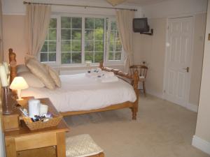 Hotel Photos