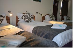 Hotel Photos