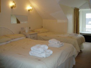 Hotel Photos