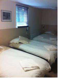 Hotel Photos