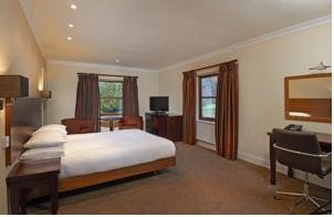 Hotel Photos