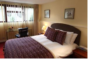 Hotel Photos