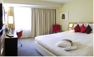 Hotel Photos