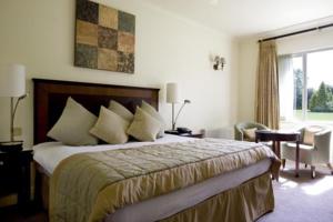Hotel Photos