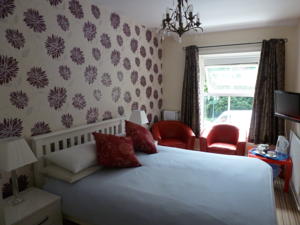 Hotel Photos