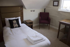 Hotel Photos