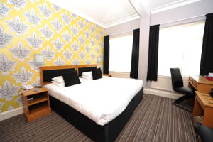 Hotel Photos
