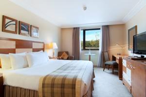 Hotel Photos