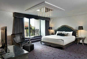 Hotel Photos
