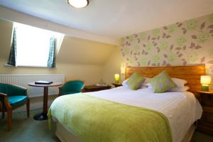 Hotel Photos