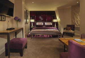 Hotel Photos