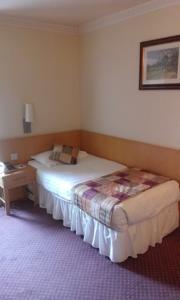 Hotel Photos