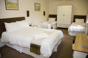 Hotel Photos