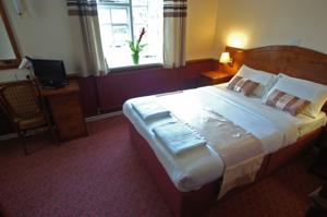 Hotel Photos