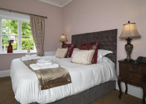 Hotel Photos