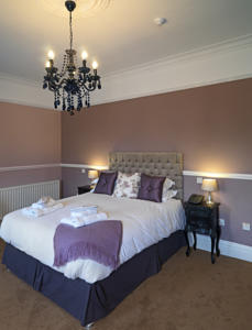 Hotel Photos