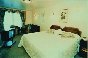Hotel Photos