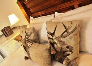 Hotel Photos