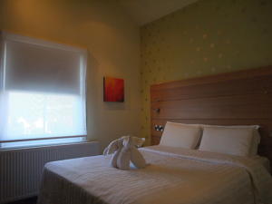 Hotel Photos