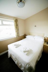 Hotel Photos