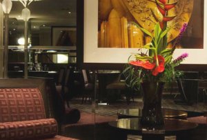 Hotel Photos