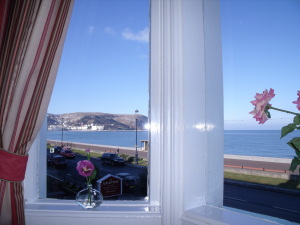 Hotel Photos