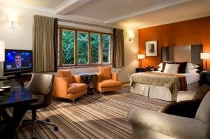 Hotel Photos