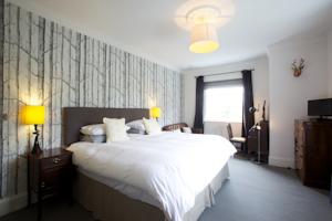 Hotel Photos
