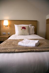 Hotel Photos