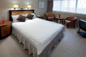 Hotel Photos