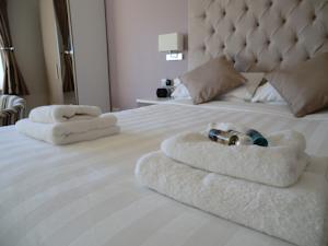 Hotel Photos