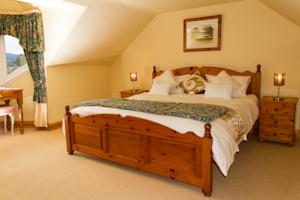 Hotel Photos