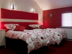 Hotel Photos