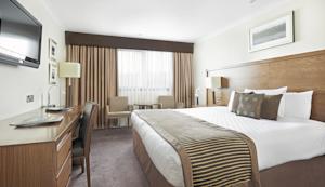 Hotel Photos
