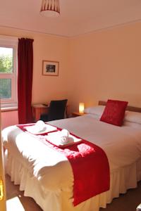 Hotel Photos