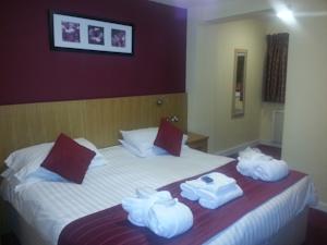 Hotel Photos