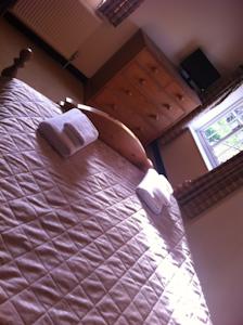 Hotel Photos