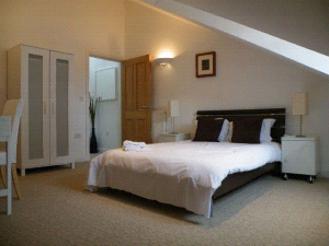 Hotel Photos