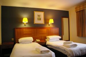 Hotel Photos