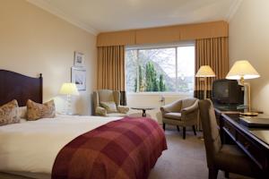 Hotel Photos