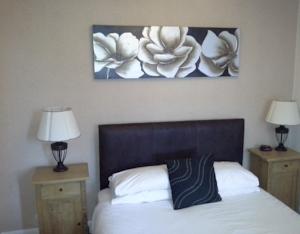 Hotel Photos