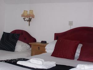 Hotel Photos