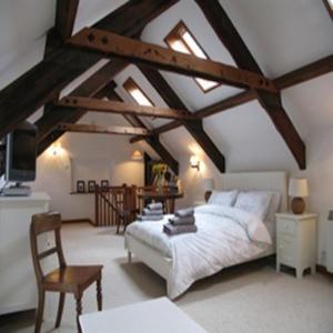 Hotel Photos