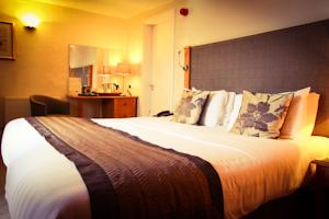 Hotel Photos