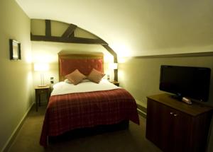 Hotel Photos