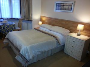 Hotel Photos