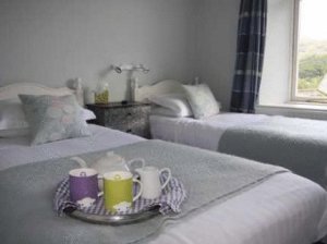 Hotel Photos