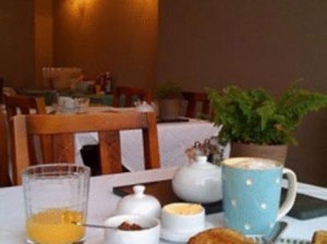Hotel Photos